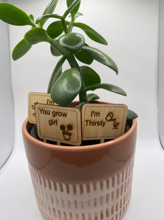 Funny Plant Markers